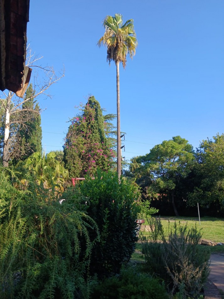 VENTA CASA QUINTA GONZALEZ CATAN