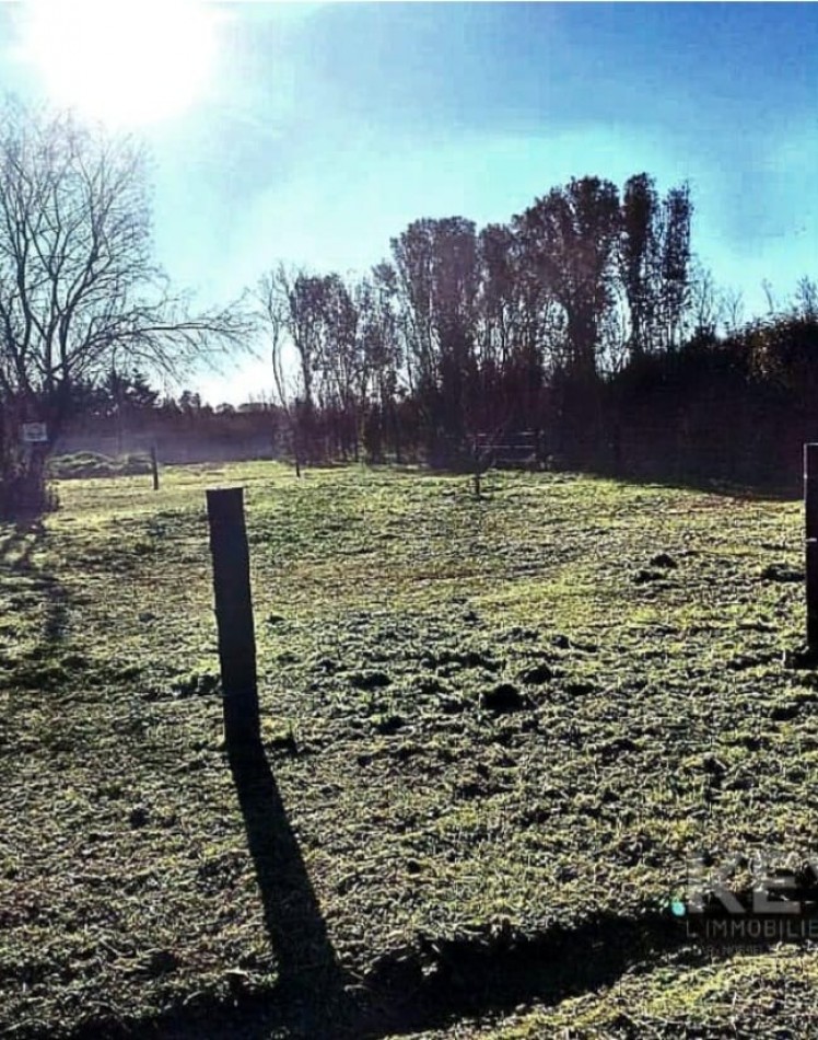 IMPORTANTE LOTE EN PONTEVEDRA