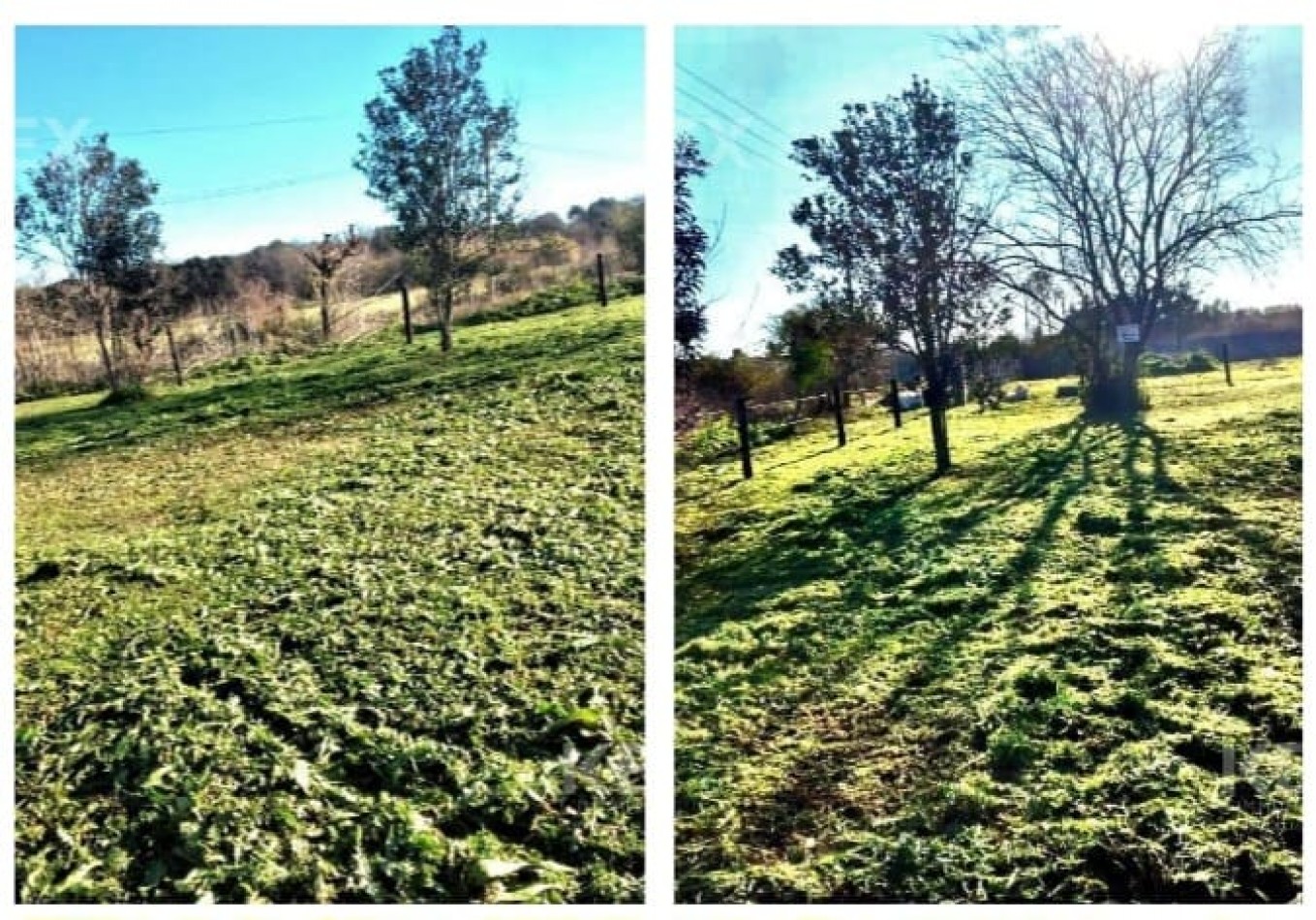 IMPORTANTE LOTE EN PONTEVEDRA