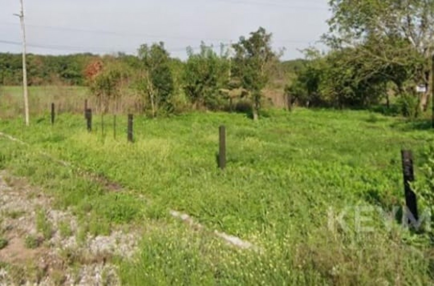 IMPORTANTE LOTE EN PONTEVEDRA