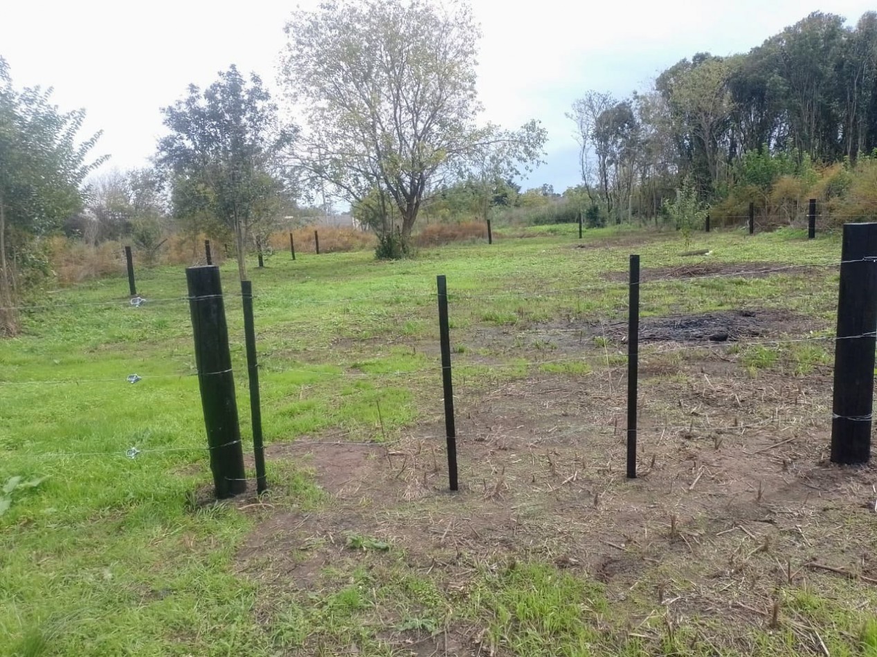 IMPORTANTE LOTE EN PONTEVEDRA