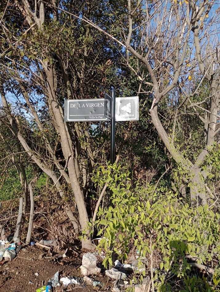 IMPORTANTE LOTE EN PONTEVEDRA