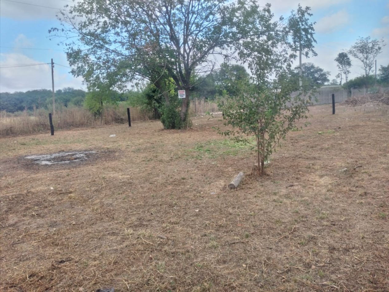 IMPORTANTE LOTE EN PONTEVEDRA