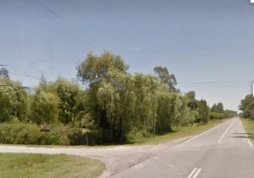 IMPORTANTE LOTE EN URIBELARREA
