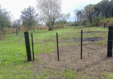 IMPORTANTE LOTE EN PONTEVEDRA